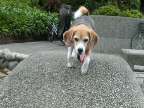 a0319693_7585350.jpg