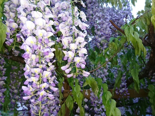 f0029393_04144859.jpg