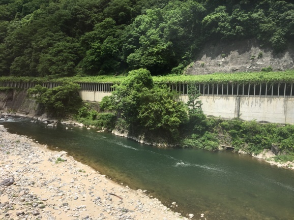 f0042295_23040630.jpeg