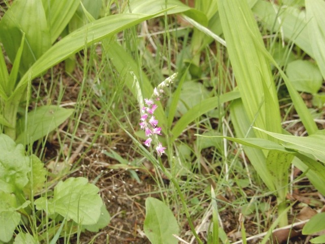 e0025300_23152767.jpg