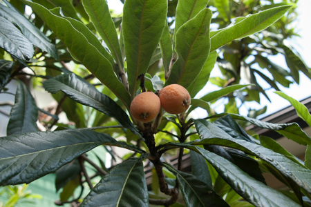 f0239100_23563897.jpg
