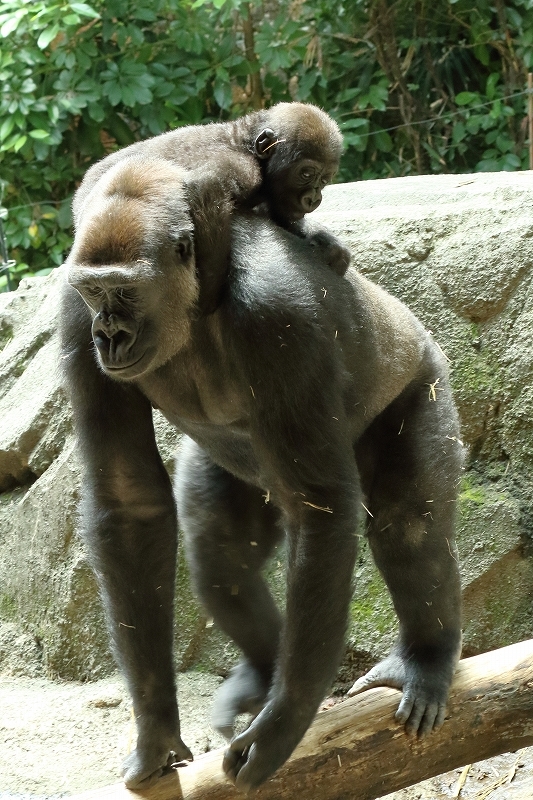 b0291402_20235404.jpg