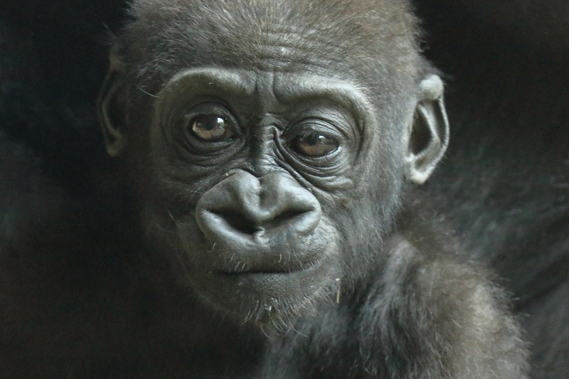 b0291402_20240675.jpg