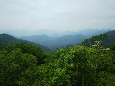 b0040606_2125121.jpg
