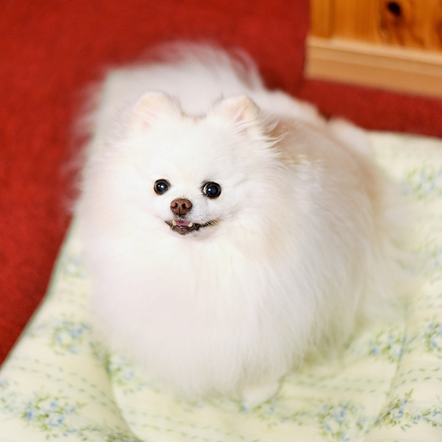 介助_d0360206_00172955.jpg