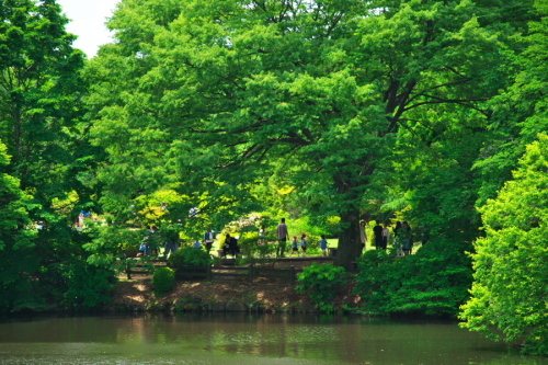 a0263109_16390401.jpg