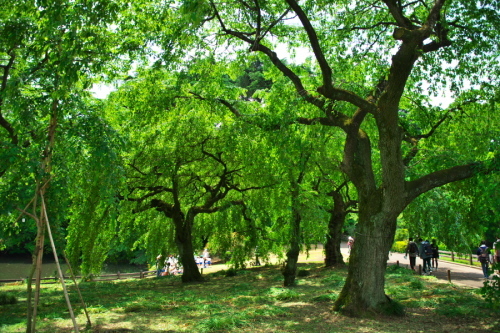 a0263109_16390599.jpg