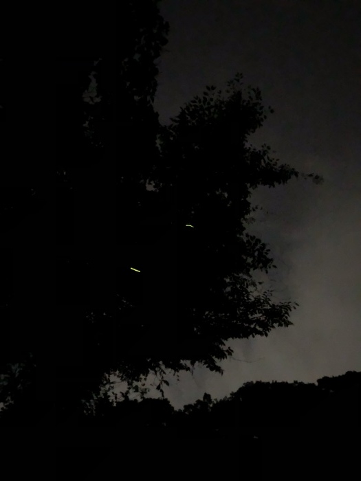 d0138811_23045283.jpeg