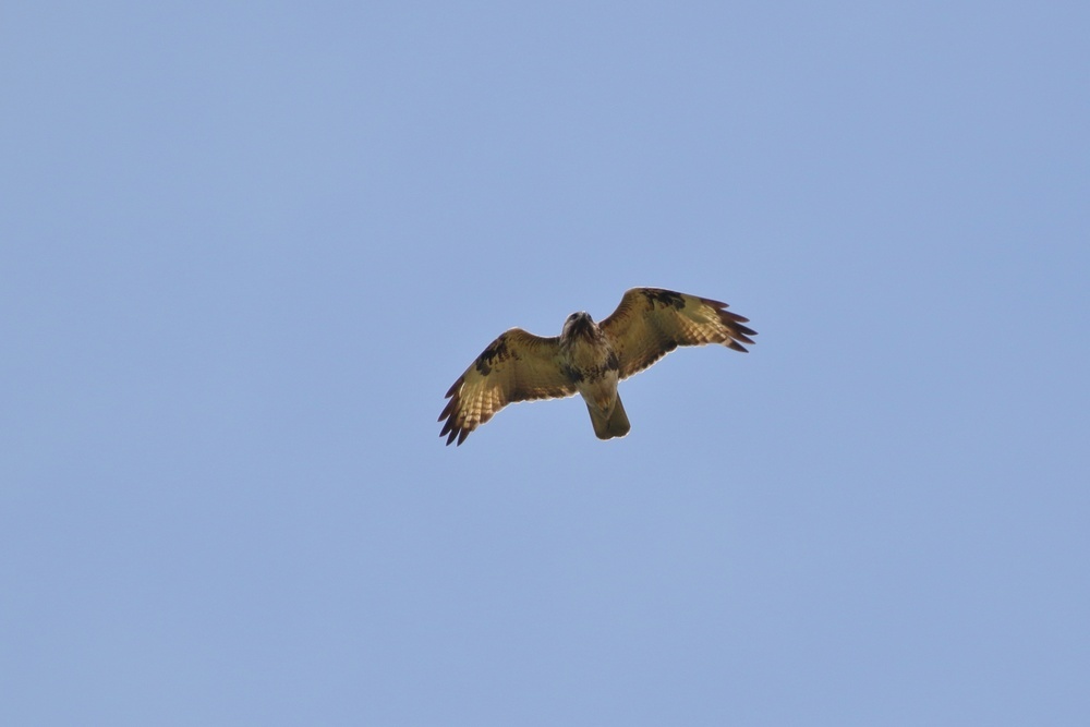 f0235311_21064682.jpg