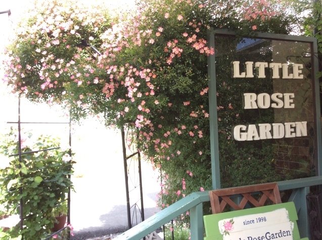 6月のLittle Rose Gardenはとても華やかです〜_d0362323_08475040.jpeg