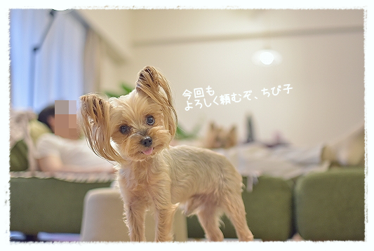 d0179828_09535600.png