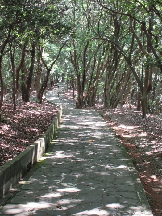 b0014732_07355569.jpg