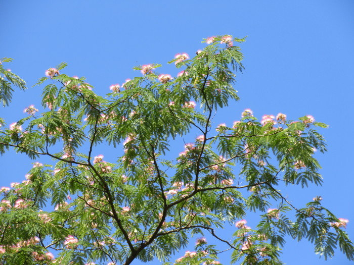 b0014732_07415934.jpg