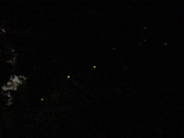 c0113733_00235322.jpg