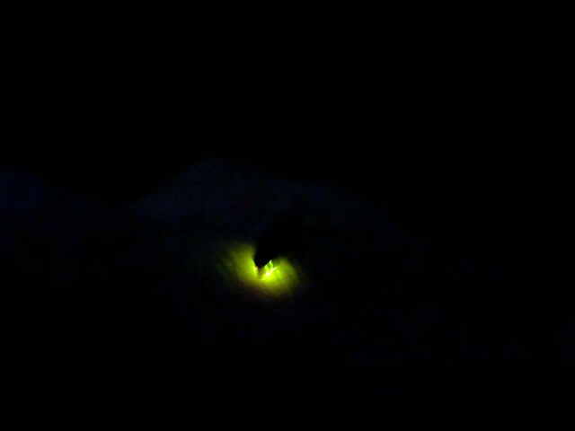 c0113733_23025421.jpg