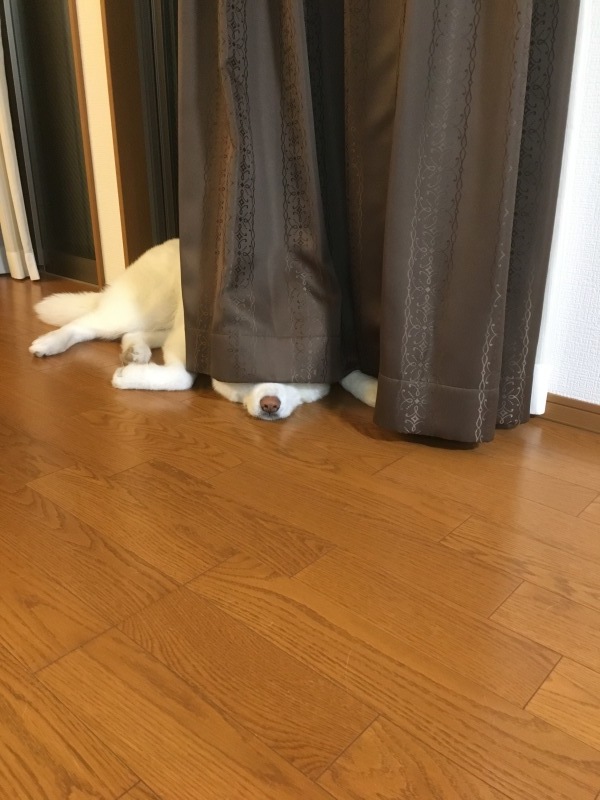 e0364035_00144337.jpeg