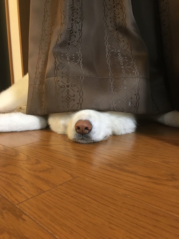 e0364035_00154236.jpeg
