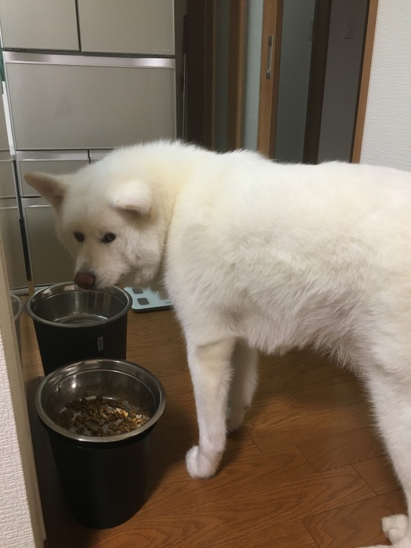 e0364035_00253599.jpeg