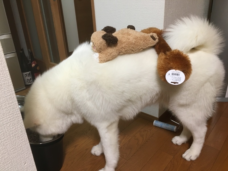 e0364035_00312432.jpeg