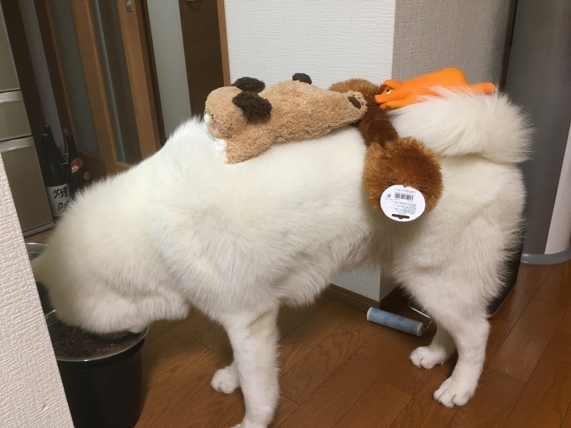 e0364035_00322457.jpeg