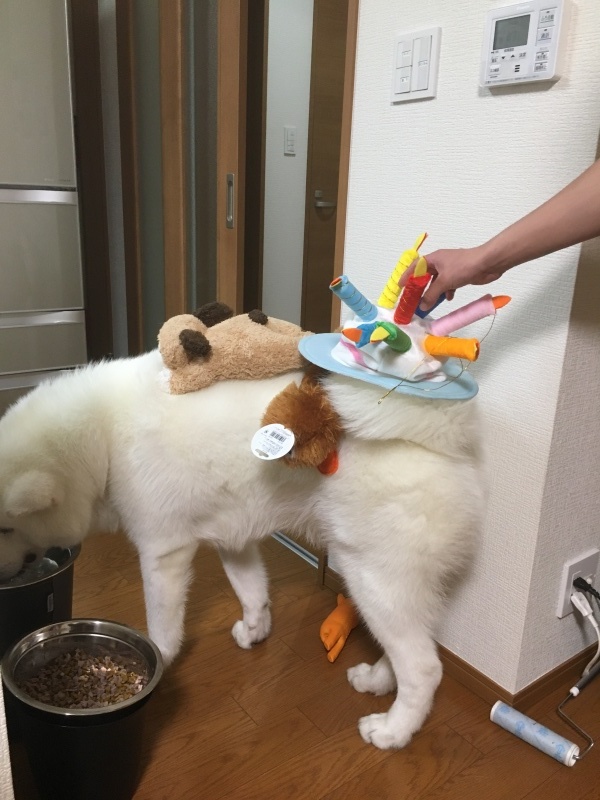 e0364035_00355089.jpeg