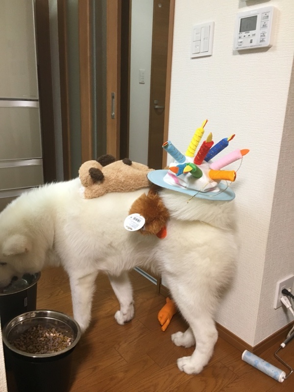 e0364035_00381797.jpeg