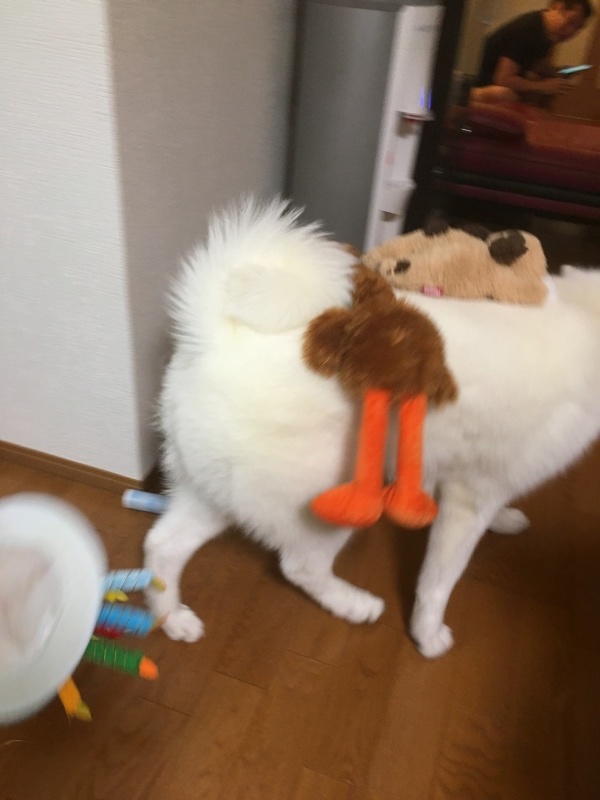e0364035_00560757.jpeg