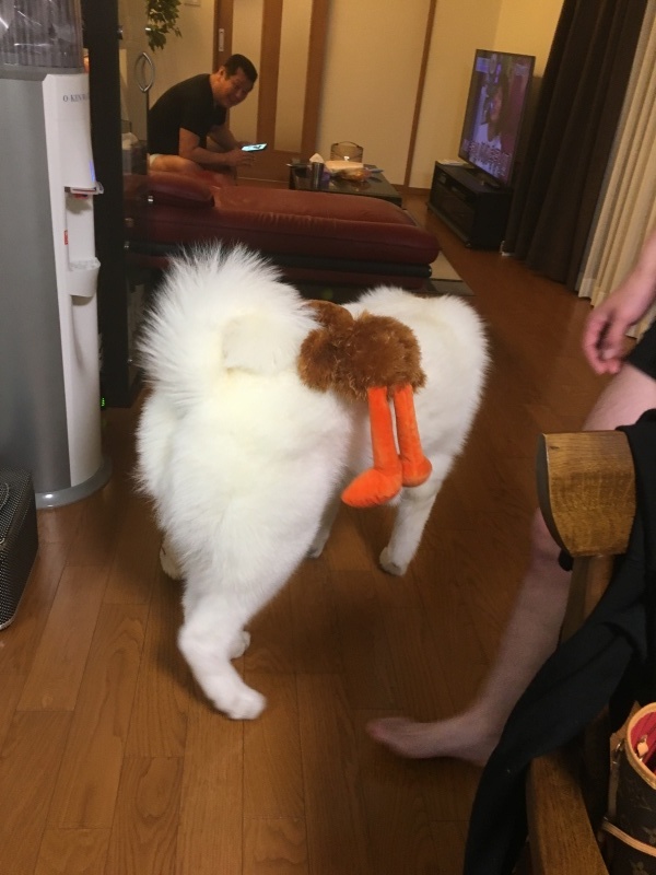 e0364035_00570931.jpeg