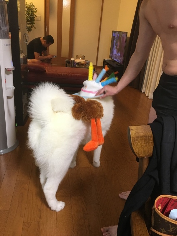 e0364035_00572112.jpeg