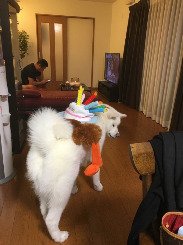 e0364035_09465847.jpeg