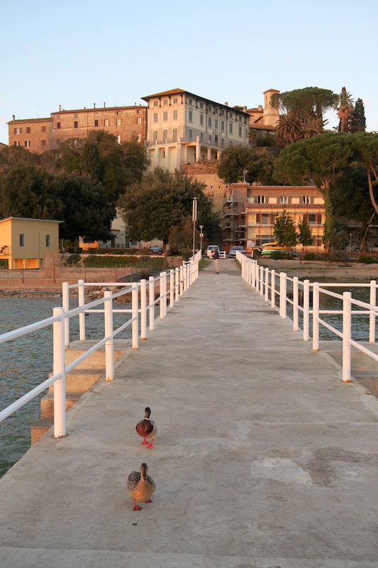 f0234936_1895514.jpg