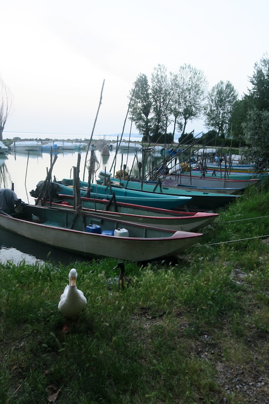 f0234936_6501582.jpg
