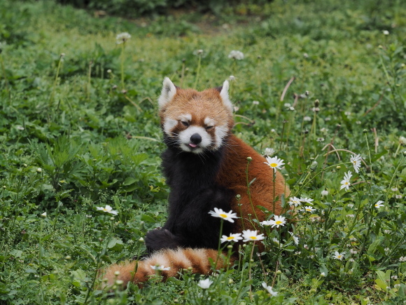 a0149740_18313671.jpg