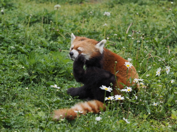 a0149740_18314079.jpg