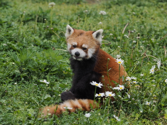 a0149740_18314335.jpg