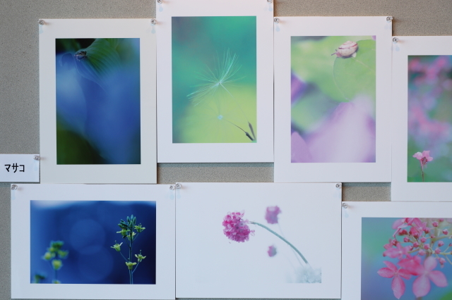 サプライズな組み写真 赤煉瓦洋館の雅茶子