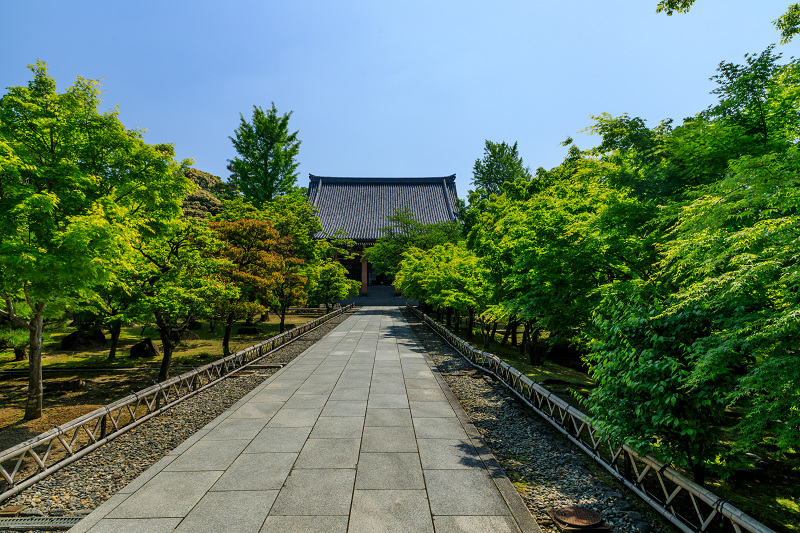 新緑とツツジ咲く智積院_f0155048_23594366.jpg