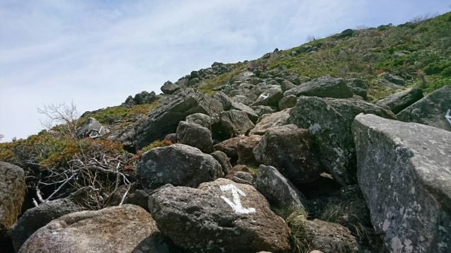 b0148050_12510259.jpg