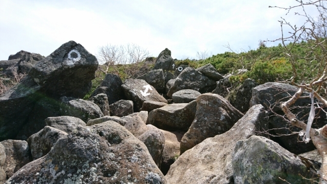 b0148050_12510738.jpg