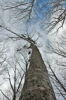 c0290656_10484745.jpg