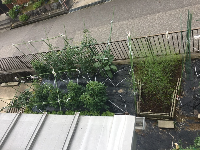 e0082956_05552306.jpeg