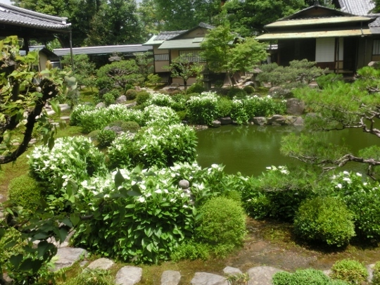 c0328559_16432833.jpg