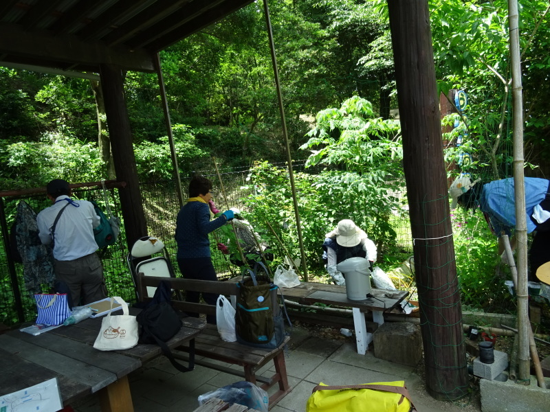 下荘小学校２年生『浜辺の生き物観察』・・・阪南市箱作西浜（自然海岸）_c0108460_20351944.jpg