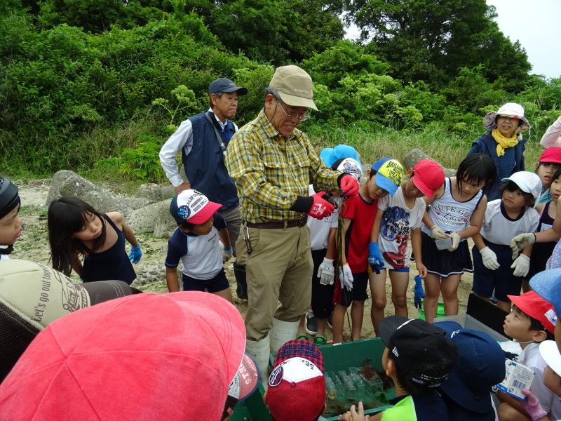 下荘小学校２年生『浜辺の生き物観察』・・・阪南市箱作西浜（自然海岸）_c0108460_20495644.jpg