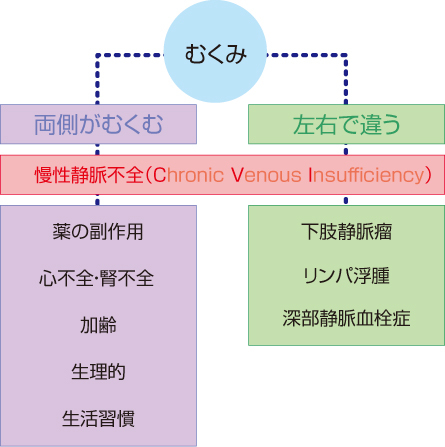 体重増加!原因は?_b0328361_23244136.jpeg