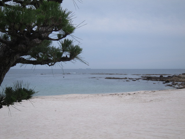 f0164662_15002690.jpg