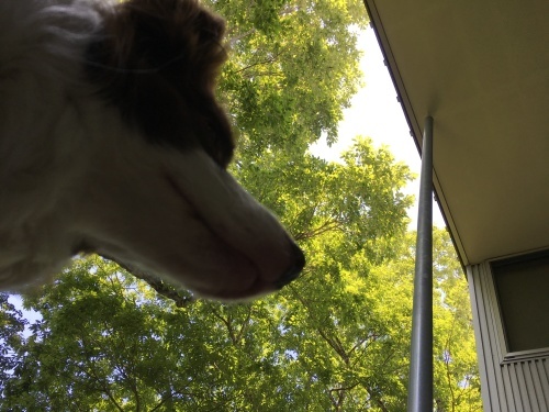 e0151566_10303162.jpeg