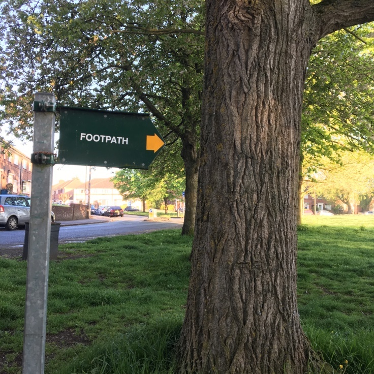 c0274374_23284716.jpeg
