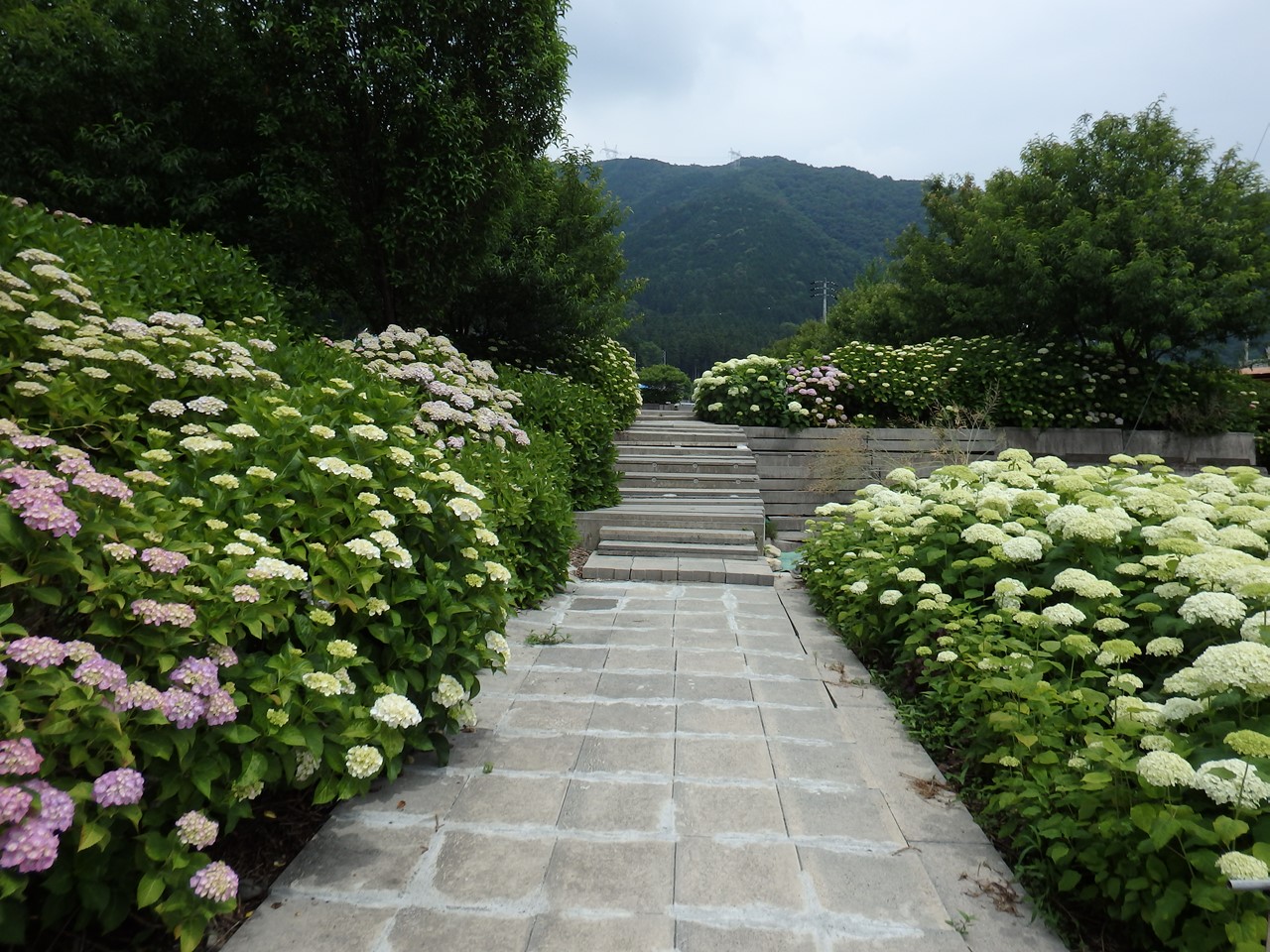 d0054276_2048321.jpg