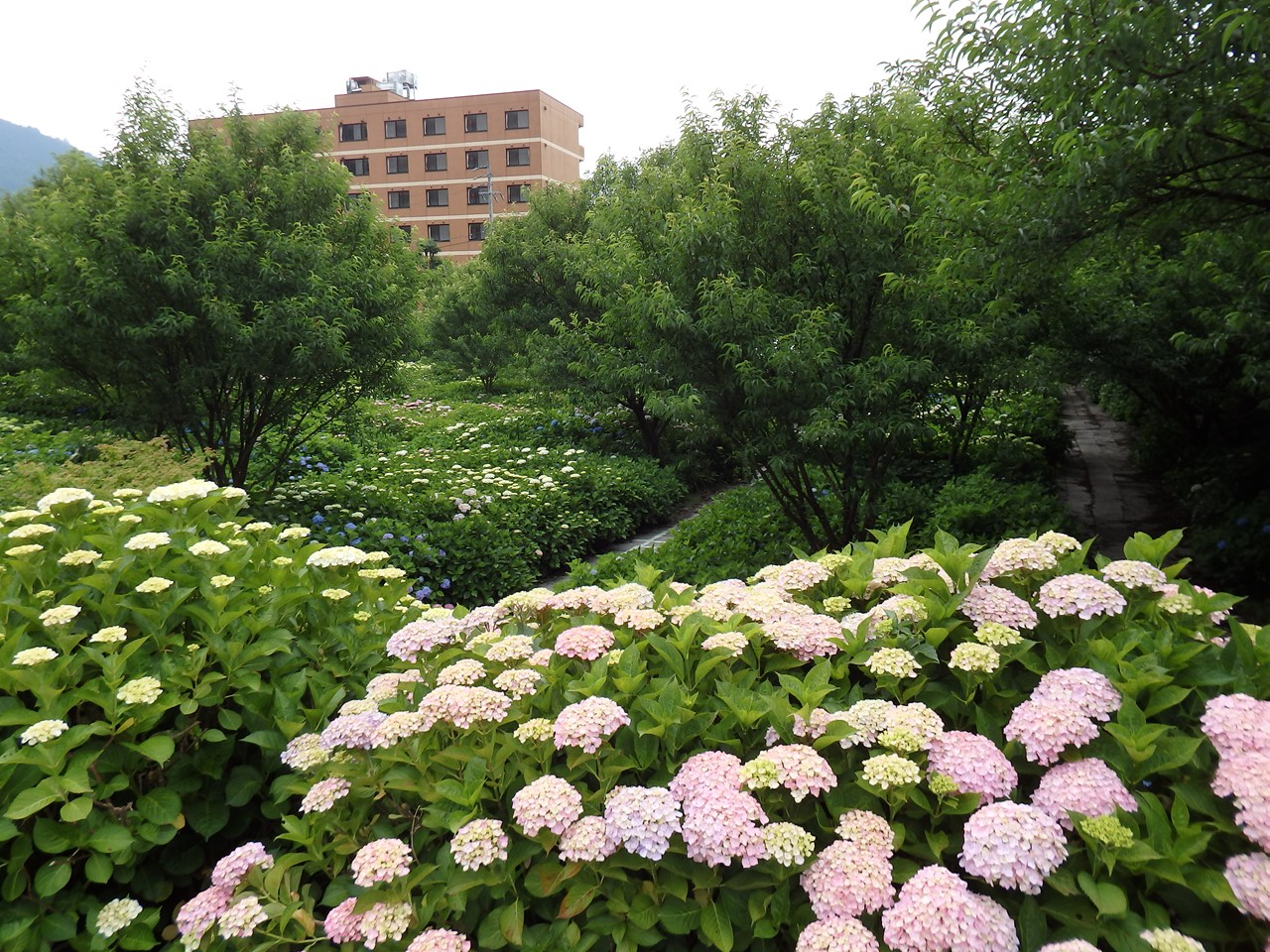 d0054276_20504934.jpg